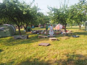 Palapine-3-300x225